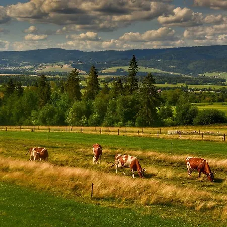 U Zbyszka シャレー *